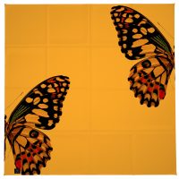 روسری زنانه 27 مدل پروانه کد H17