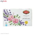 دمنوش سرما خوردگی گلستان بسته 20 عددی