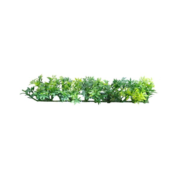 گیاه تزیینی آکواریوم مدل چمن خطی مونت کارلو