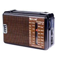 رادیو گولون مدل RX-608A