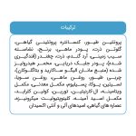 غذای خشک گربه فرافود پلاس مدل کیتن طعم مرغ و برنج وزن 2 کیلوگرم