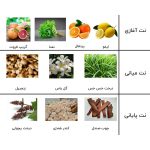 ادو پرفیوم مردانه زوا مدل بلو شنل  حجم 100 میلی لیتر